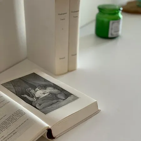 La Corte Dei Vizi Clauiano